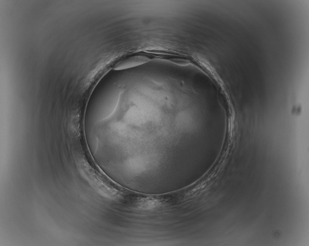 X0000111030249200906251311