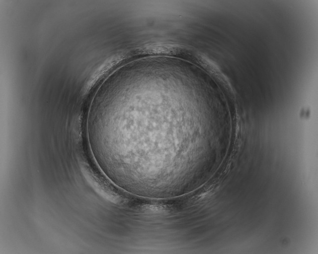 X0000111030250200906251311