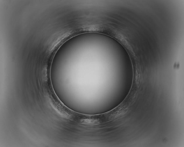 X0000111030251200906251311
