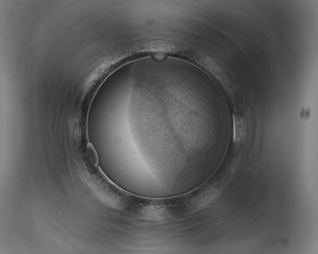 X0000111030252200906251311