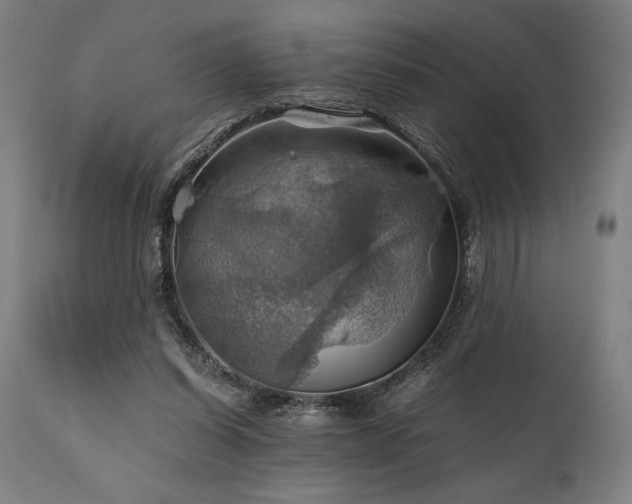 X0000111030254200906251312
