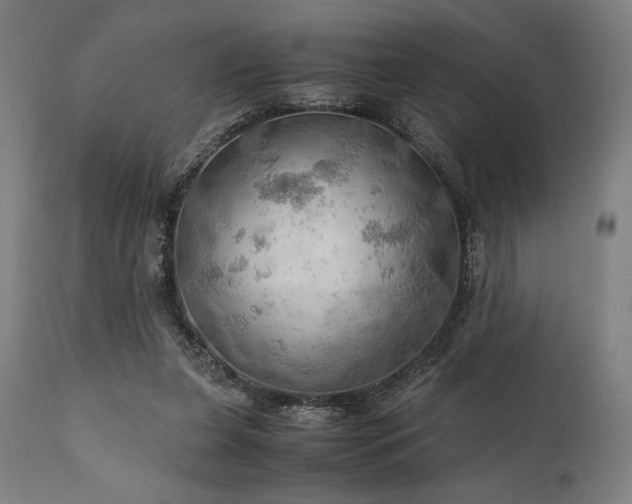 X0000111030255200906251312