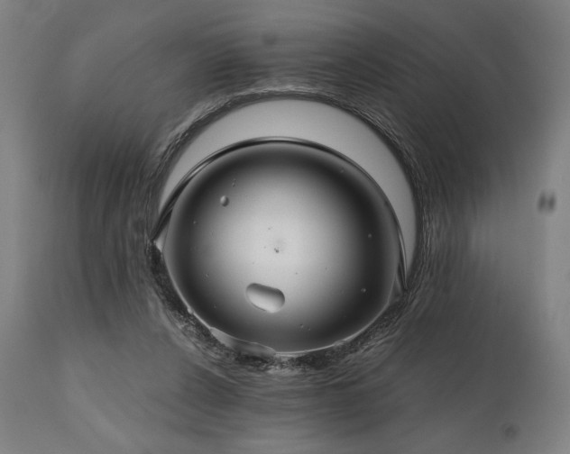 X0000111030256200906251312