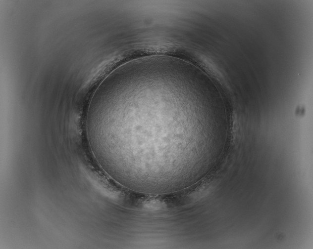 X0000111030258200906251312