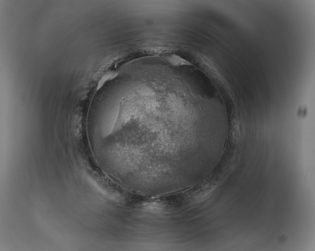 X0000111030259200906251312