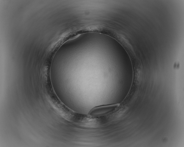 X0000111030260200906251312