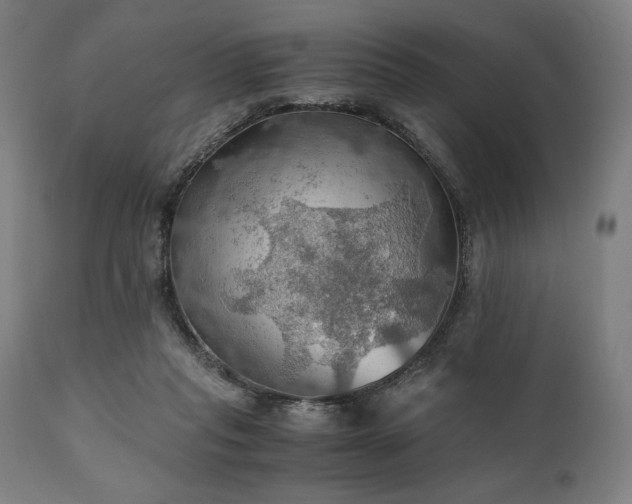 X0000111030261200906251312