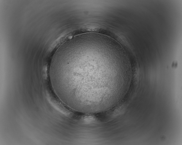 X0000111030262200906251312