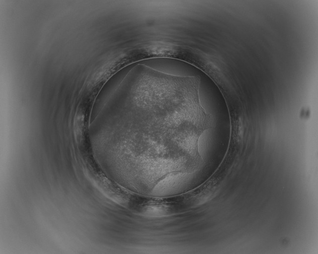 X0000111030263200906251312