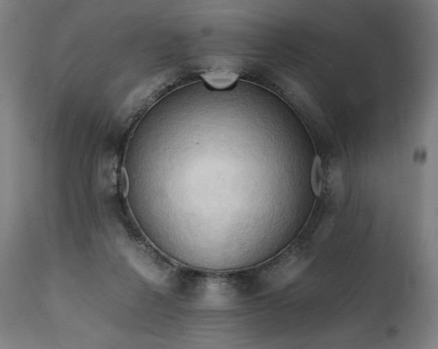 X0000111030264200906251312