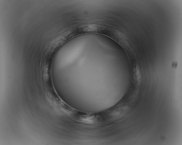 X0000111030267200906251312