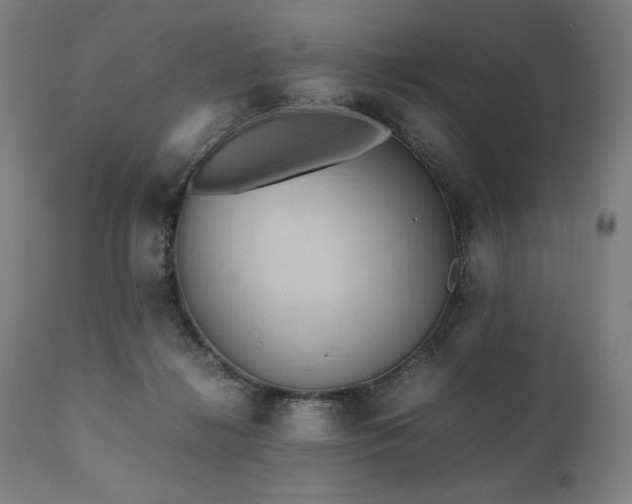 X0000111030268200906251312