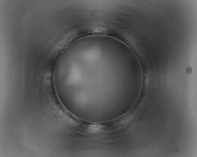X0000111030269200906251312