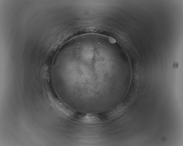 X0000111030270200906251312