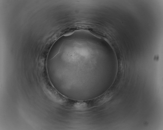 X0000111030271200906251312