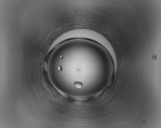 X0000111030272200906251312