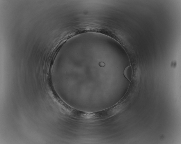 X0000111030273200906251312