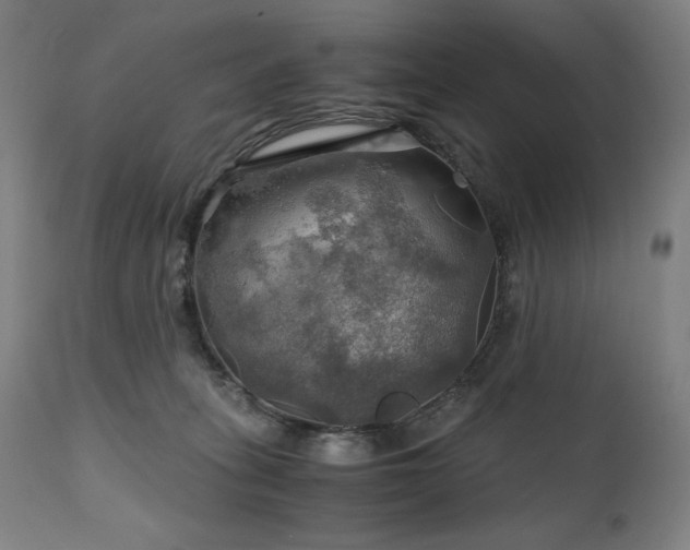 X0000111030275200906251312