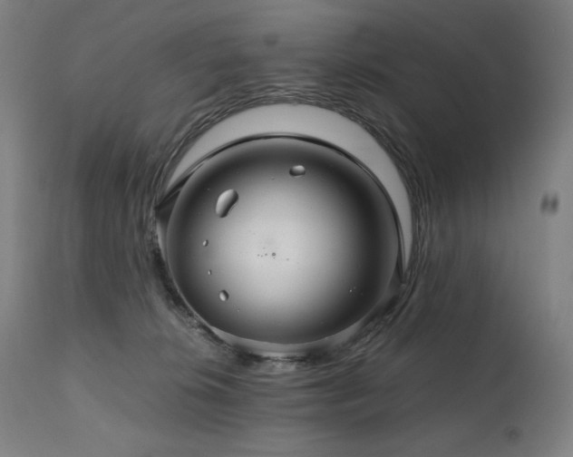 X0000111030276200906251312
