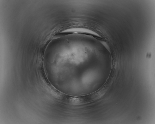 X0000111030277200906251312