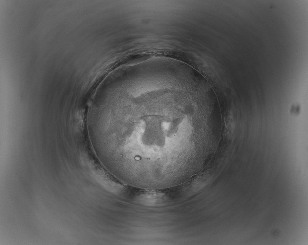 X0000111030278200906251312