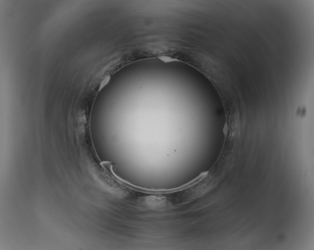 X0000111030279200906251312