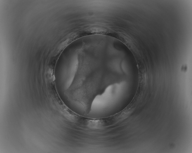 X0000111030281200906251312