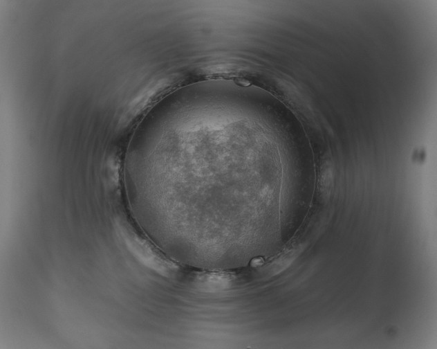 X0000111030282200906251312