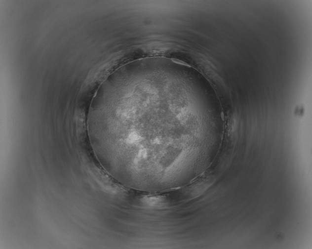 X0000111030283200906251312
