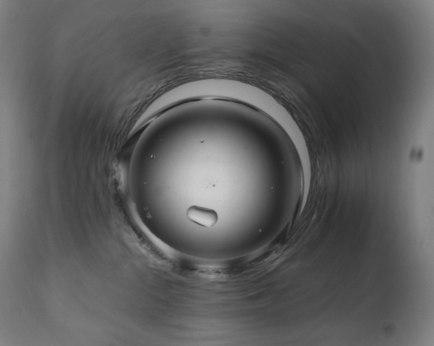 X0000111030284200906251312