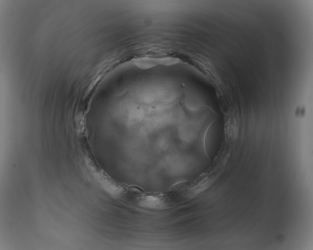 X0000111030285200906251312