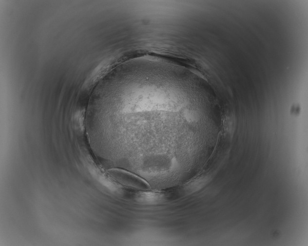 X0000111030286200906251312