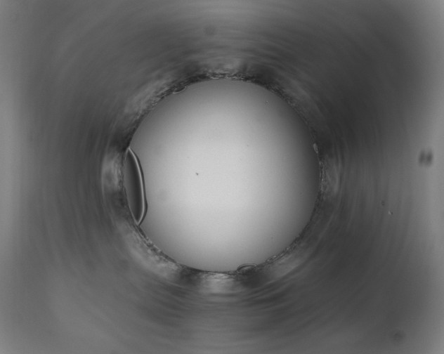 X0000111030287200906251312