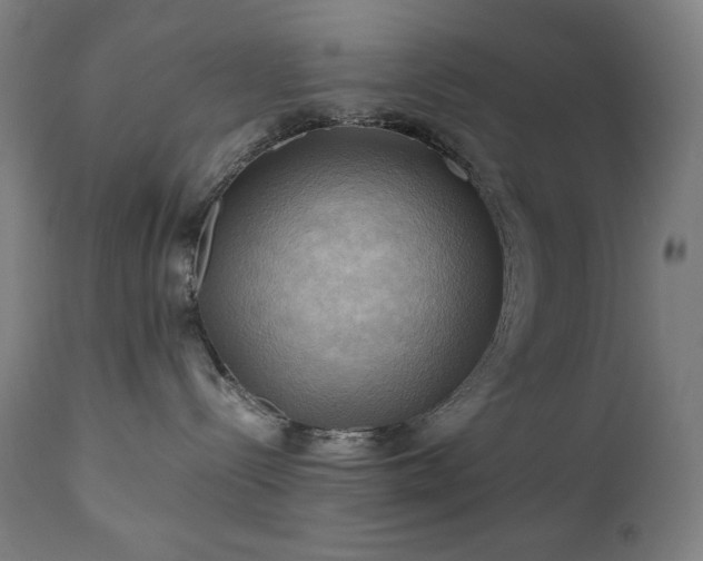 X0000111030288200906251312