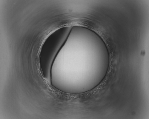 X0000111030289200906251311