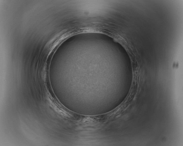 X0000111030290200906251311