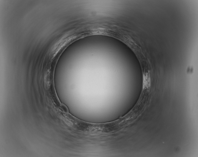 X0000111030291200906251311