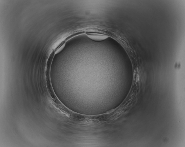 X0000111030292200906251311