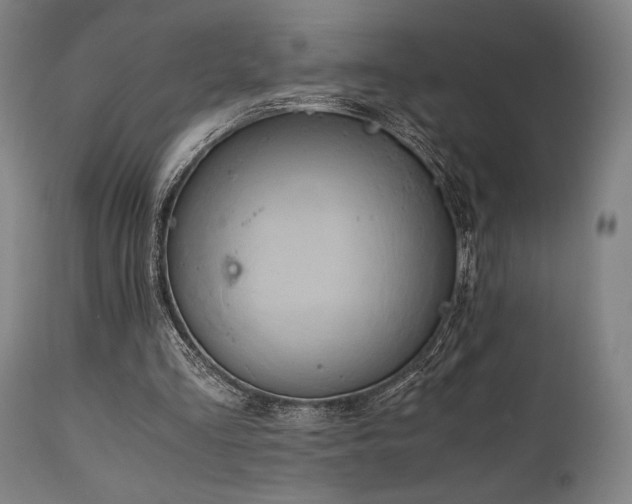 X0000111030293200906251311