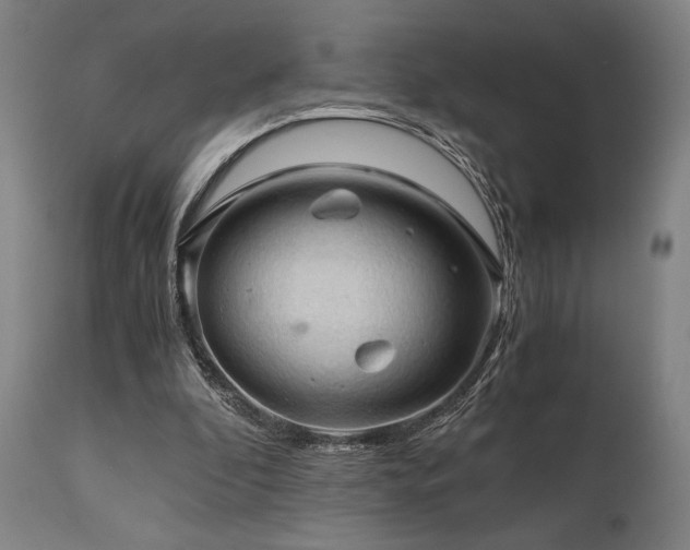 X0000111030296200906251311