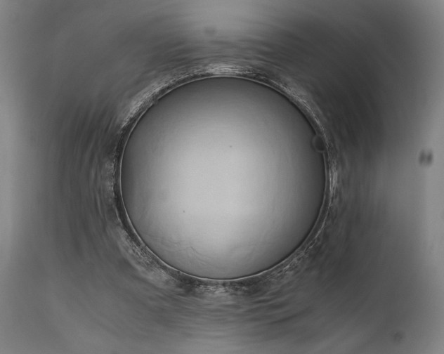 X0000111030297200906251311