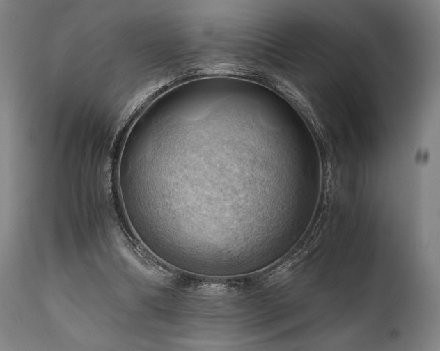 X0000111030298200906251311