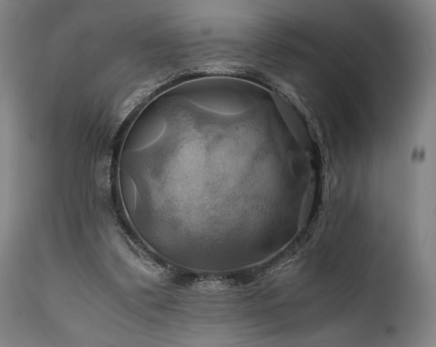 X0000111030299200906251311