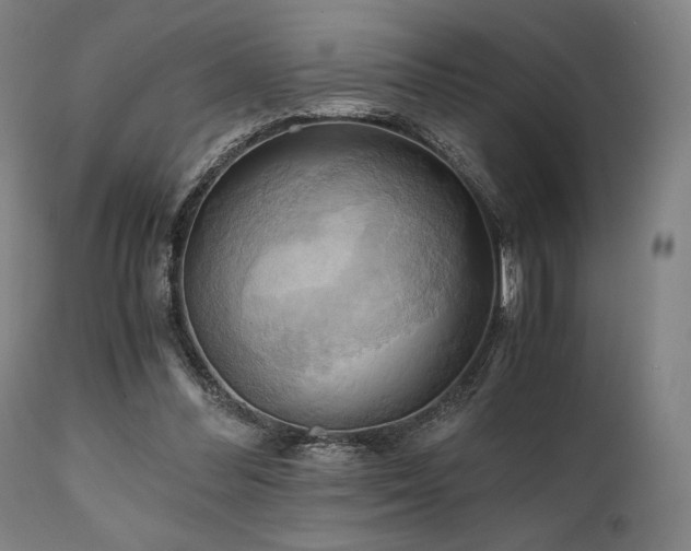 X0000111030300200906251311