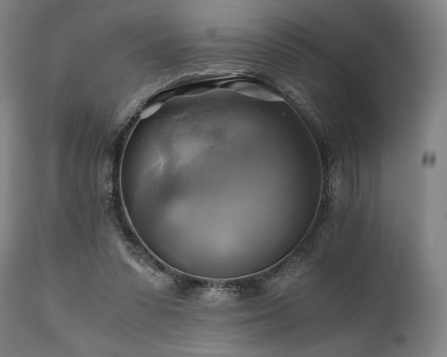 X0000111030303200906251311