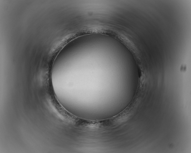 X0000111030306200906251311