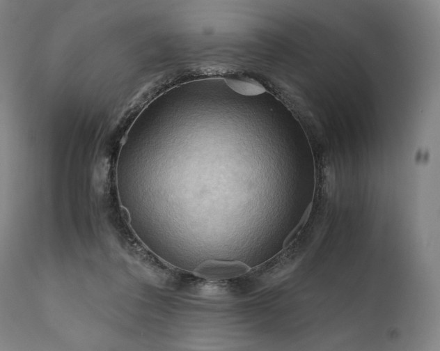 X0000111030308200906251311