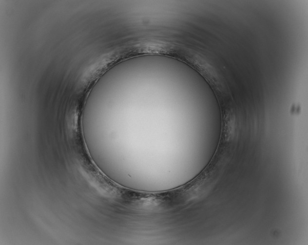 X0000111030310200906251311