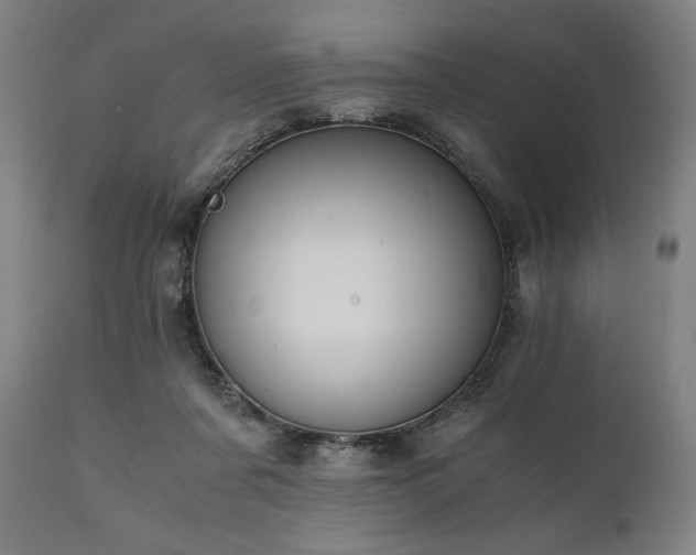 X0000111030311200906251311