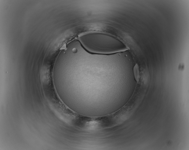 X0000111030312200906251311